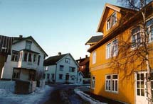 aas.jpg (9185 bytes)