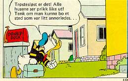 don.jpg (12280 bytes)